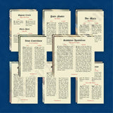 Latin-English Prayer Cards Variety Pack