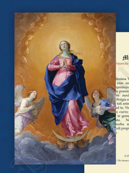 Latin-English Prayer Card / Suscipe-Prayer of St Ignatius